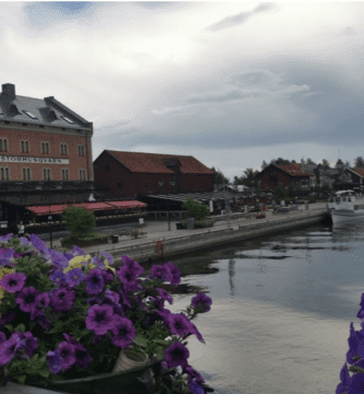 Nyköping hundvänliga hotell