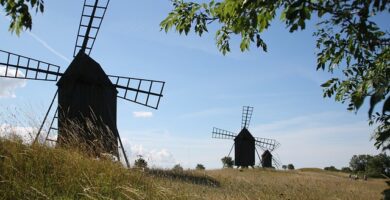 Öland hundvanliga hotell