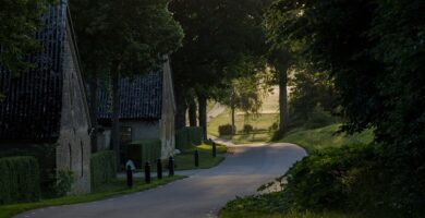 Skåne hotell hund