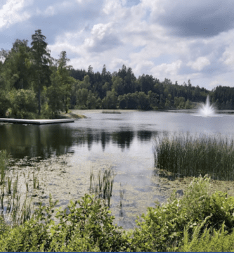 Ullared hundvanliga hotell