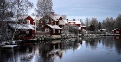 Norrköping hotell hund