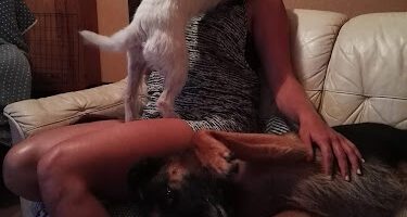 Fågelängens Husdjurspensionat