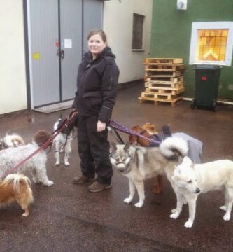 Hundstjärnan Hunddagis