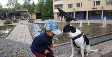 KaNos Trim & Dagis AB