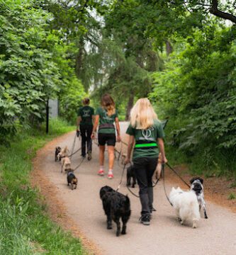 Changdobels - Östermalm hunddagis
