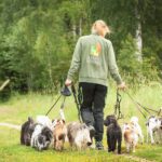 AMNIS HUNDHUS Södra Berget hundpensionat