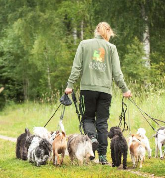 AMNIS HUNDHUS Södra Berget hundpensionat