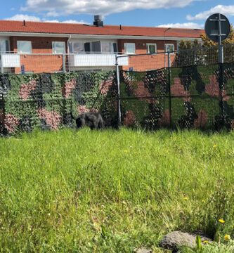 Uppsala Hunddagis hundpensionat