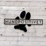 Hundpositivet