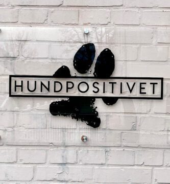 Hundpositivet