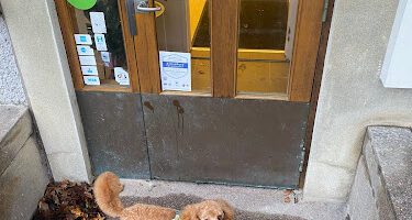 Högdalens Hundcenter hundpensionat