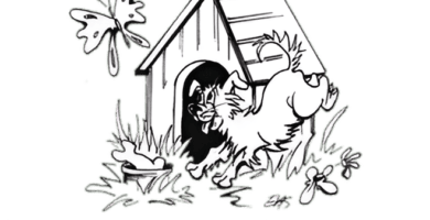 Hunden på Lunden hundpensionat