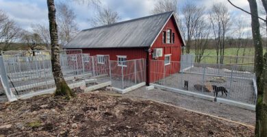 Knektagårdens hundpensionat hundpensionat