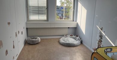 Pethico AB Hunddagis