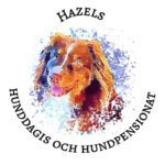 Hazels Hunddagis & Hundpensionat