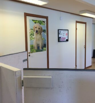 Älvängens Hunddagis