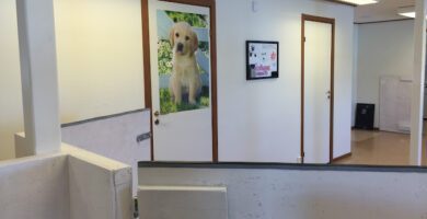 Älvängens Hunddagis