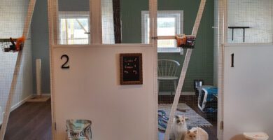 Svalåkra Kattpensionat hundpensionat