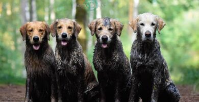 Hökagårdens Bed & Breakfast