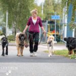 Hund i Centrum Hildebrandsgatan - Backaplan