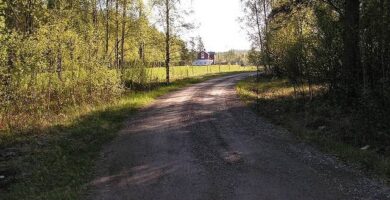 Bergsängarnas Hundpensionat hundpensionat