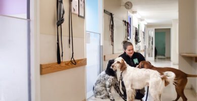 Changdobels - Danderyd Hunddagis