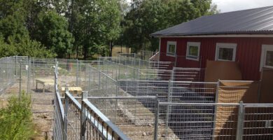 Villtofta Hundgård hundpensionat