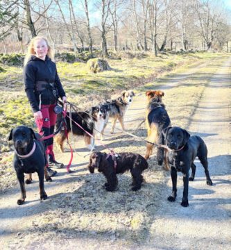 Sannas hundpensionat hundpensionat