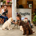 Doglife Västertorp