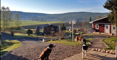 Gårdsbackens Hundcenter hundpensionat