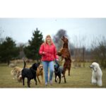 Hildesborgs Hunddagis