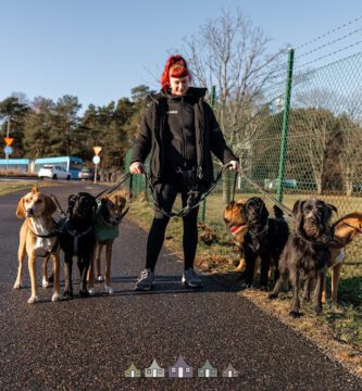 Göteborgs Hunddagis-Högsbo