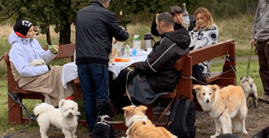 Delsjöns hundcenter