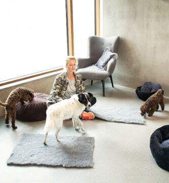 Changdobels - Gärdet Hunddagis