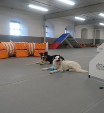 Västbo Hundhall hundpensionat