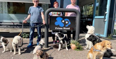 Prima Hund hundpensionat
