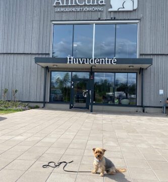 AniCura Animal Hospital Jönköping veterinär
