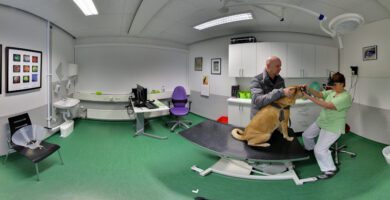 AniCura Aros VeterinärCentrum veterinär