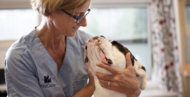 AniCura Djursjukhuset Albano veterinär