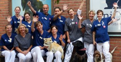 AniCura Gärdets Animal Clinic veterinär