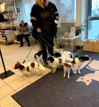AniCura West Animal Hospital in Gothenburg veterinär