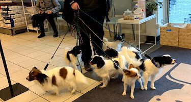 AniCura West Animal Hospital in Gothenburg veterinär