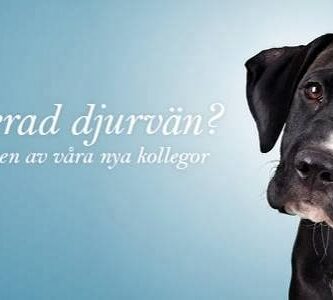 AniCura animal hospital Bagarmossen veterinär