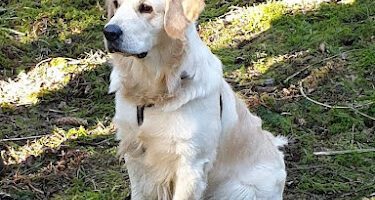 Arken Zoo Veterinärklinik i Nyköping veterinär