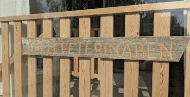 Åseleveterinären veterinär