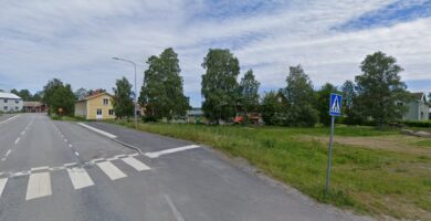 Björkstadens Djurklinik Evidensia veterinär