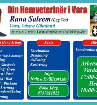 Din Hemveterinär i Vara veterinär