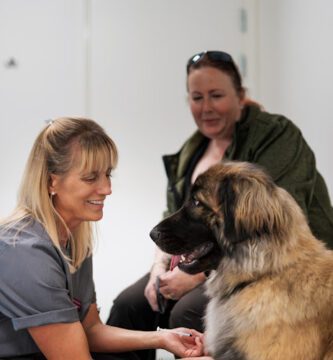 DinVet i Umeå veterinär