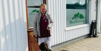 Dingleveterinärerna Smådjurskliniken i Lysekil veterinär