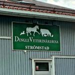 Dingleveterinärerna Strömstad veterinär